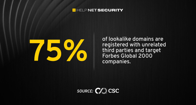 domain security measures