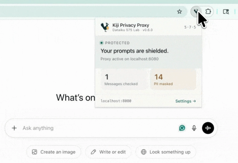 PII privacy proxy