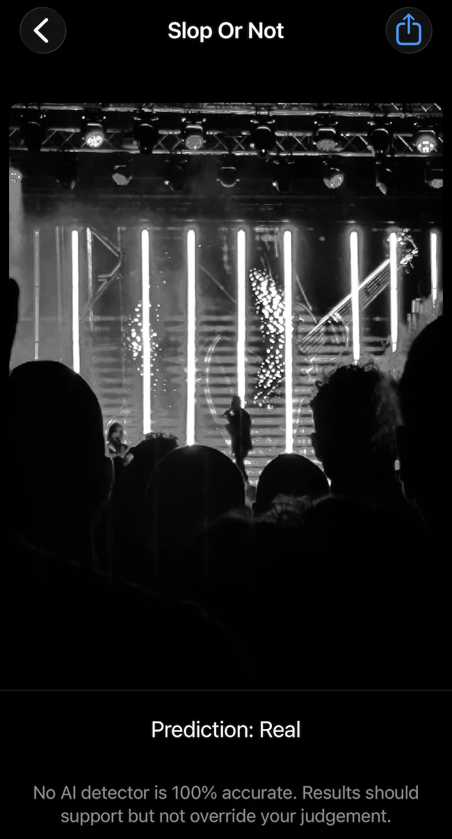 concert photo AI image detector