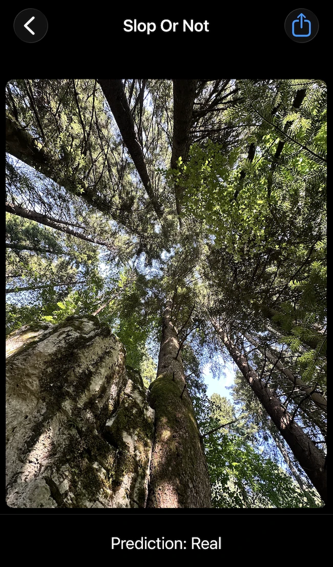trees AI image detector