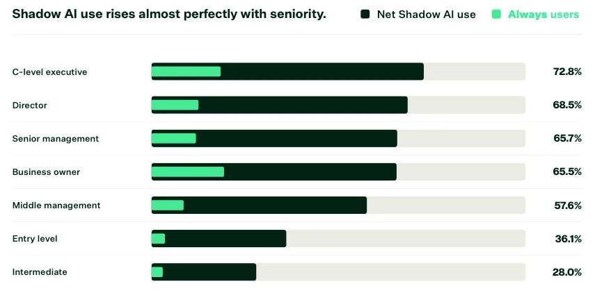 Net Shadow AI use workplace shadow AI use