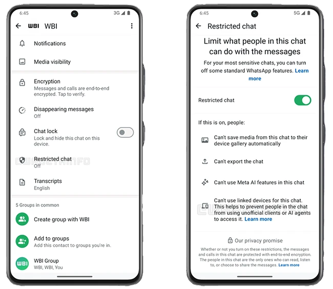 WhatsApp Restricted Chat