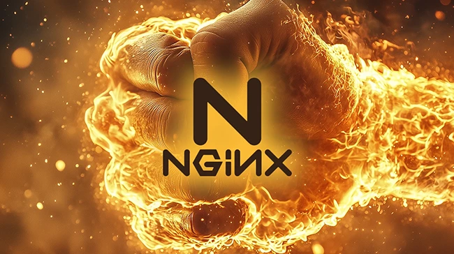 nginx 1.30.0